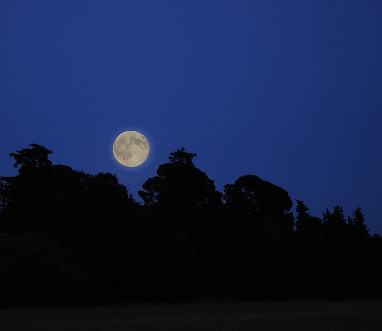 Projection • Pleine Lune, Baillargues, Hérault, France, 22 octobre 2010