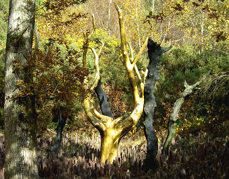 Maintenant • L’arbre d’or, Val sans Retour (Forêt de Brocéliande), Tréhorenteuc, Morbihan, France, 9 novembre 2007
