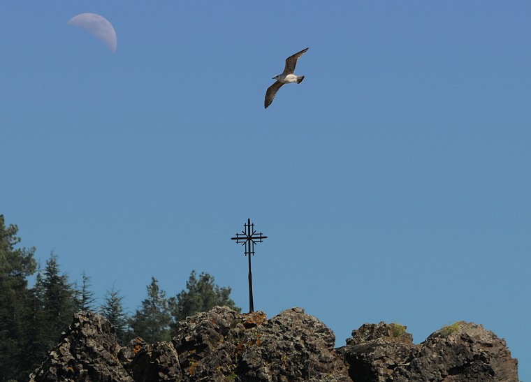 Triptyque • Vol d’un oiseau au-dessus du lac du Salagou, Hérault, France, 10 avril 2011