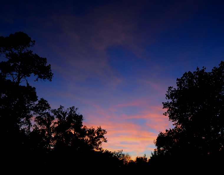 Apex • Le soleil vient juste de se coucher derrière les arbres, château de Potelières, Gard, France, 24 juin ‎2011