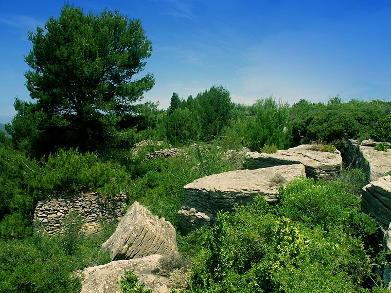 Chaos • Paysage du Minervois, environs de la Cité de Minerve, Hérault, France, 17 juin 2003