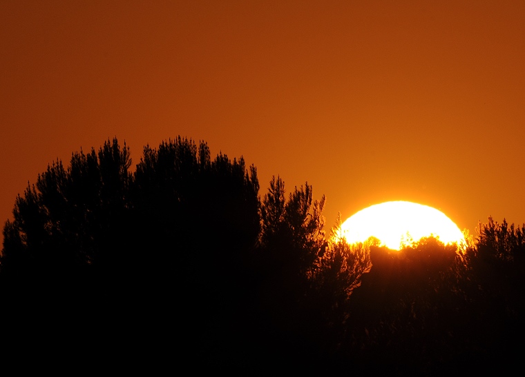 Projection • Coucher du soleil derrière les arbres, Baillargues, Hérault, France, 10 octobre 2011