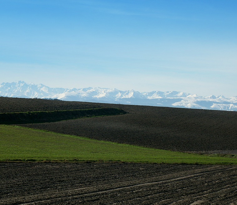 Possibles... • Le "Champ des possibles" et la chaîne des Pyrénées, environs de Fanjeaux, Aude, France, 7 février 2003