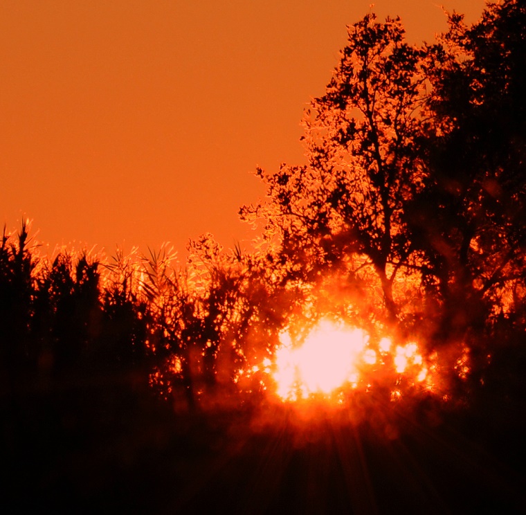 Catalyseur • Coucher de soleil dans les champs de Boisseron (environs de Sommières), Gard, France, 4 décembre 2011