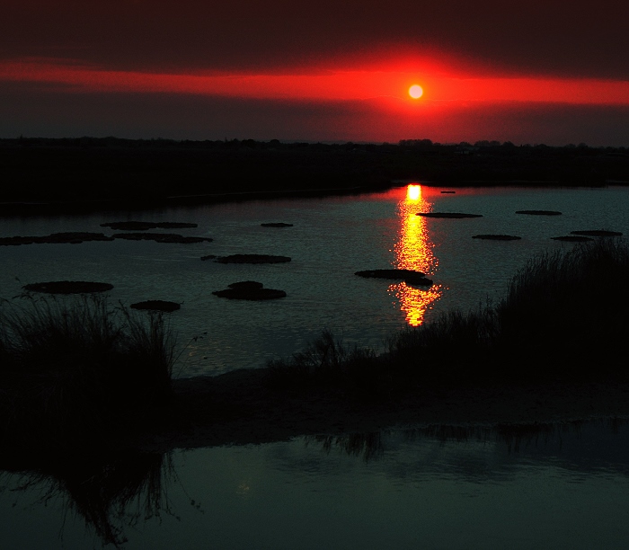 Fusion froide • Coucher de soleil, chemin de Plagnol, bassin de l’Or, Mauguio, Hérault, France, 25 mars 2012