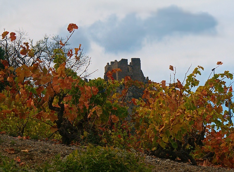 Ombre & couleur • Château de Padern, Aude, France, 5 novembre 2004