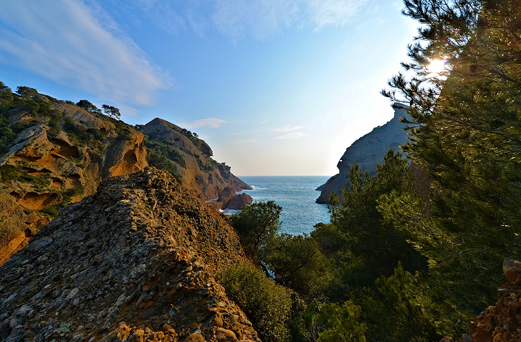 Songe neptunien • Calanque de Figuerolles, La Ciotat, Bouches-du-Rhône, France, 24 février 2013