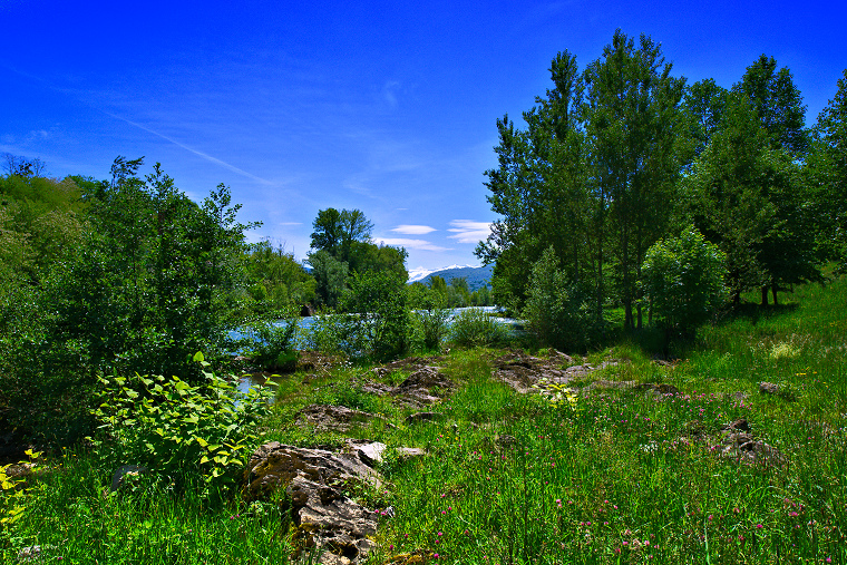 Source chromatique • Cours du Salat, Saint Lizier, Ariège, France, 8 mai 2014