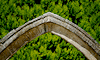 Voûte gothique de l’ancien cloître de l’abbaye bénédictine Saint-Martial, square Agricol Perdiguier, Avignon, Vaucluse, France, 5 août 2014