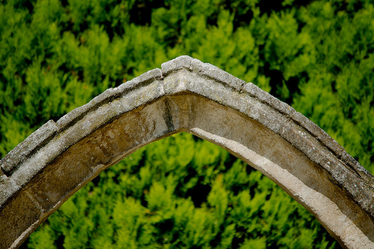Focus • Voûte gothique de l’ancien cloître de l’abbaye bénédictine Saint-Martial, square Agricol Perdiguier, Avignon, Vaucluse, France, 5 août 2014