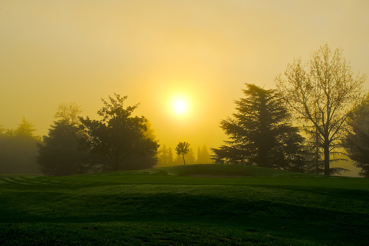 Sinople au chef d’or • Lever du soleil au-dessus du Golf de Montpellier-Massane, Baillargues, Hérault, France, 27 novembre 2014