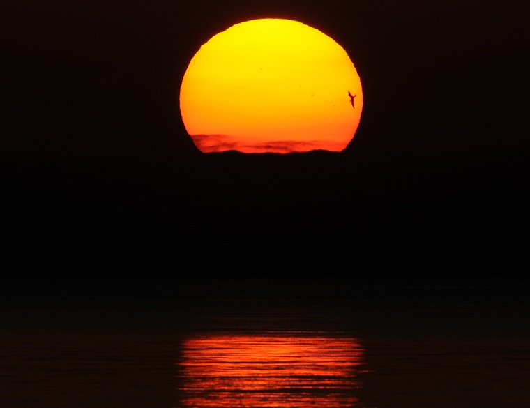 Envol : Coucher de soleil sur la mer, Saintes-Maries-de-la-Mer, Camargue, Bouches-du-Rhône, France, 27 novembre 2011