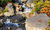 Petite cascade dans l’enceinte du temple de Senso-ji, Tokyo, Japon, 17 février 2012