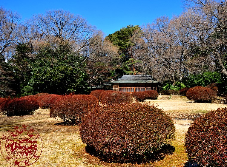 Connexion : Maison de thé (photomontage avec le tampon que l’on peut apposer, sur son carnet de voyage), au bord de l’étang, jardin de Meiji Jingu, Tokyo, Japon, 18 février 2012