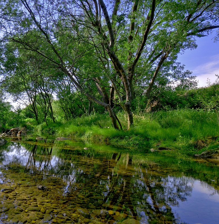 Miroir de l’âme : Cours d’eau près du chemin "Les Mayolas", Mudaison, Hérault, France, 27 mai 2012