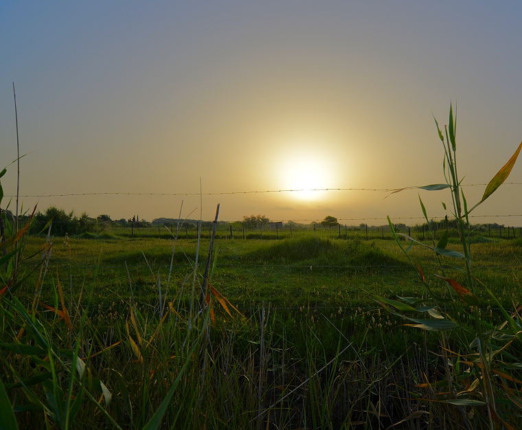 Au-delà : Lever du soleil, chemin de Plagnol, Mauguio, Hérault, France, 29 juin 2012