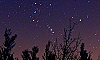 Ciel étoilé, Baume Auriol, au bord du Cirque de Navacelles, Hérault, France, (vue vers l’est ; à l’horizon, au centre : Orion ; plus haut, très brillante : Jupiter), 3 janvier 2013