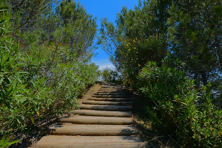 Ascension : Sur les rives du Lac du Crès, Hérault, France, 7 juin 2013