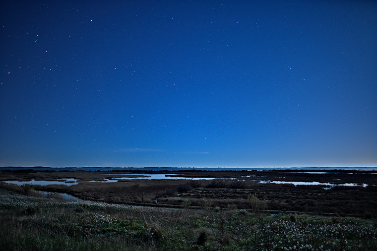 Tranquillité : Étangs de Mauguio, Hérault, France, 17 février 2014